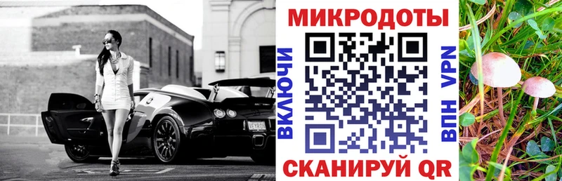 Галлюциногенные грибы Psilocybe Бодайбо